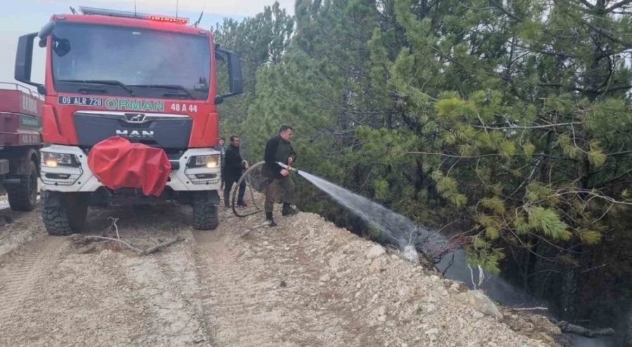 Aydın'daki orman yangını kontrol altına alındı