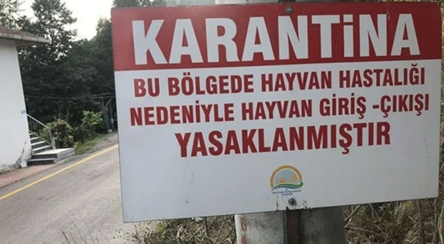 22 köyde 'şap' alarmı: Giriş ve çıkışlar kısıtlandı