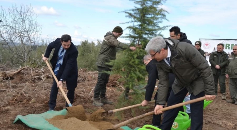 Bursa'da denetimli serbestlik yükümlüleri fidan dikti