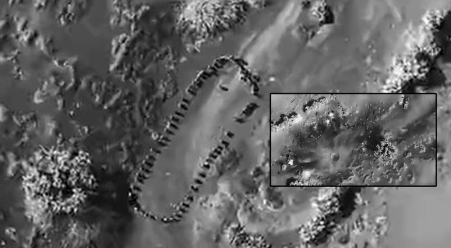 Donald Trump görüntü paylaştı: Bir daha asla batıramayacaklar!