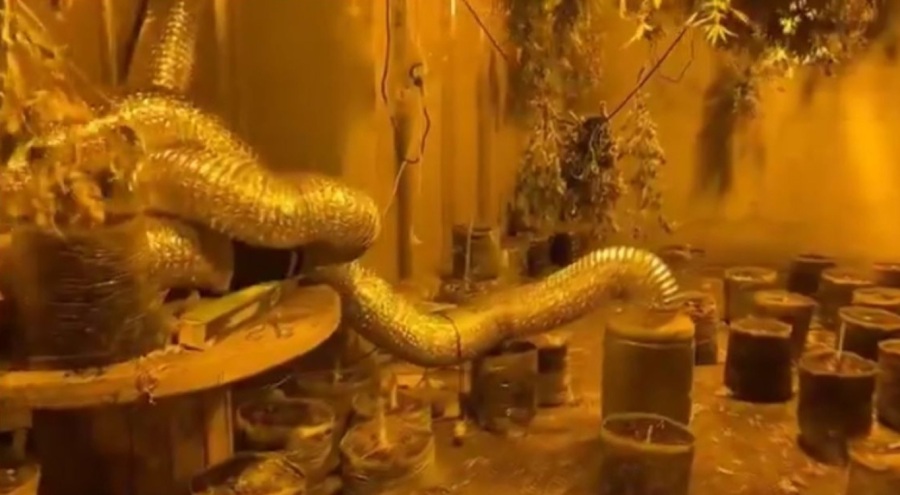 Bursa'da dev operasyon! 24 şüpheli yakalandı