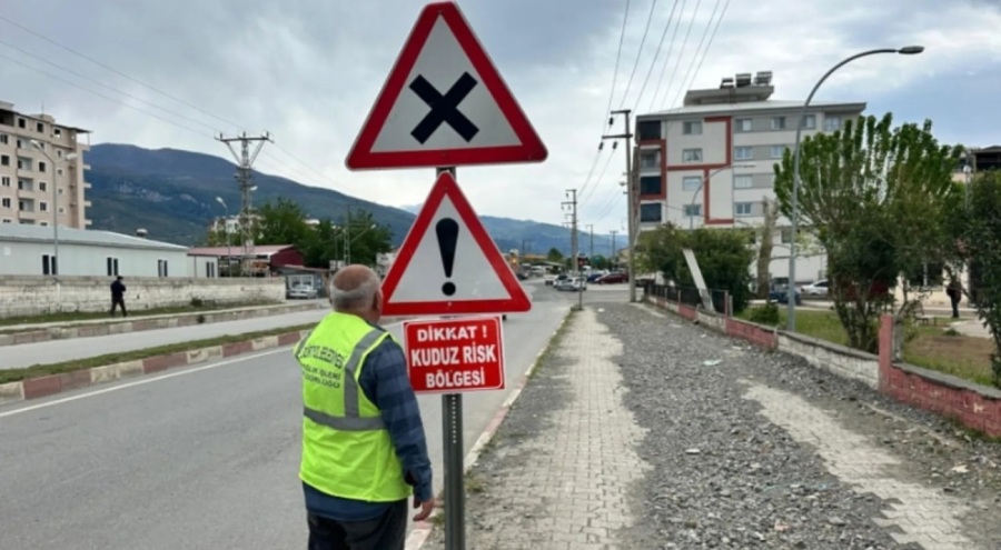 Hatay'da 'kuduz' alarmı! Mahalle karantinaya alındı