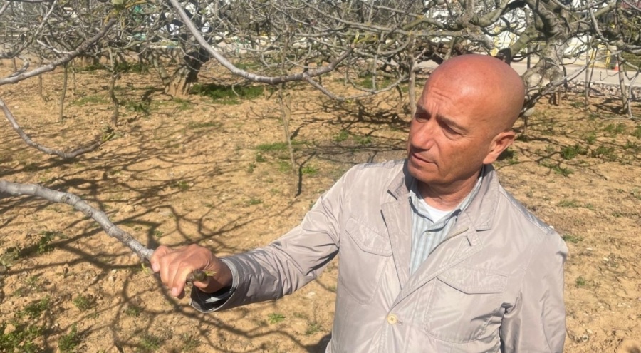 Bursalı ihracatçılar "zirai don" nedeniyle karamsar değil