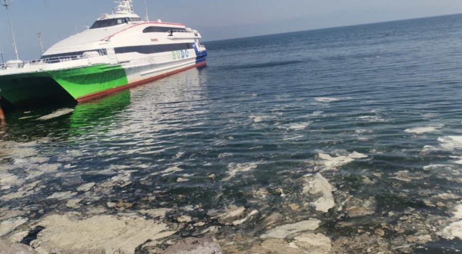 Mudanya sahilinde müsilaj görüldü