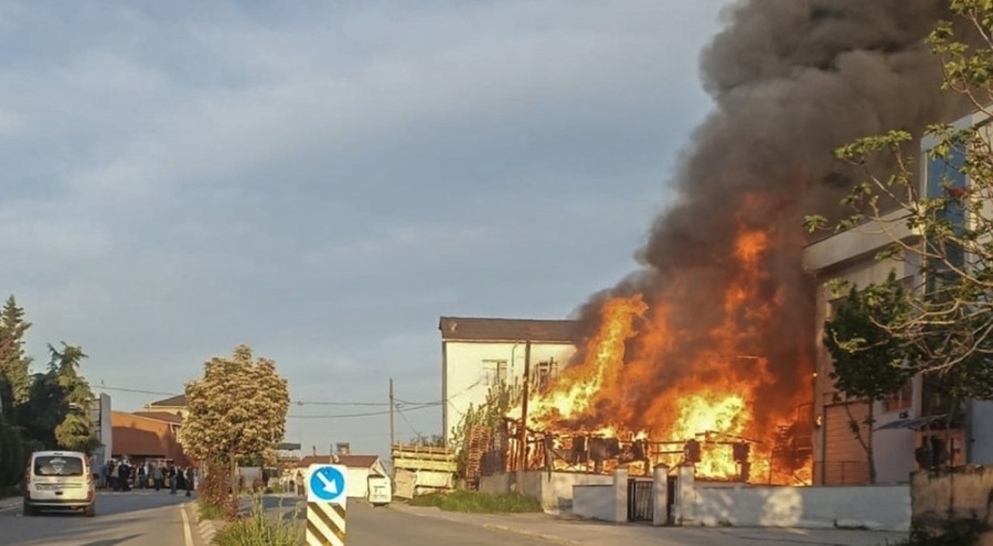 Palet fabrikasında korkutan yangın