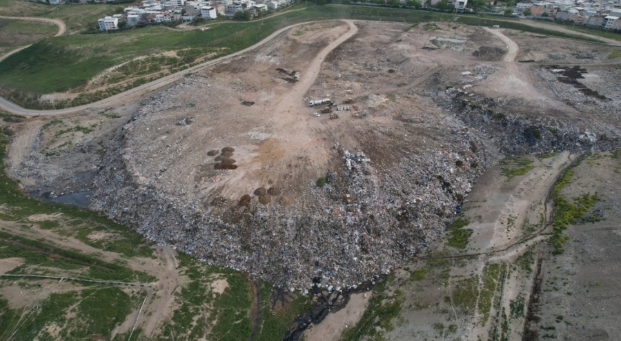 Osmangazi'de hayvan barınağında katliam iddiası!