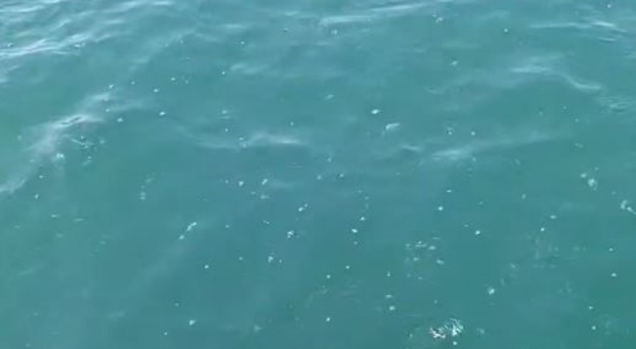 Depreme denizde yakalandılar: "Bir gürültü koptu, tekne sallandı"