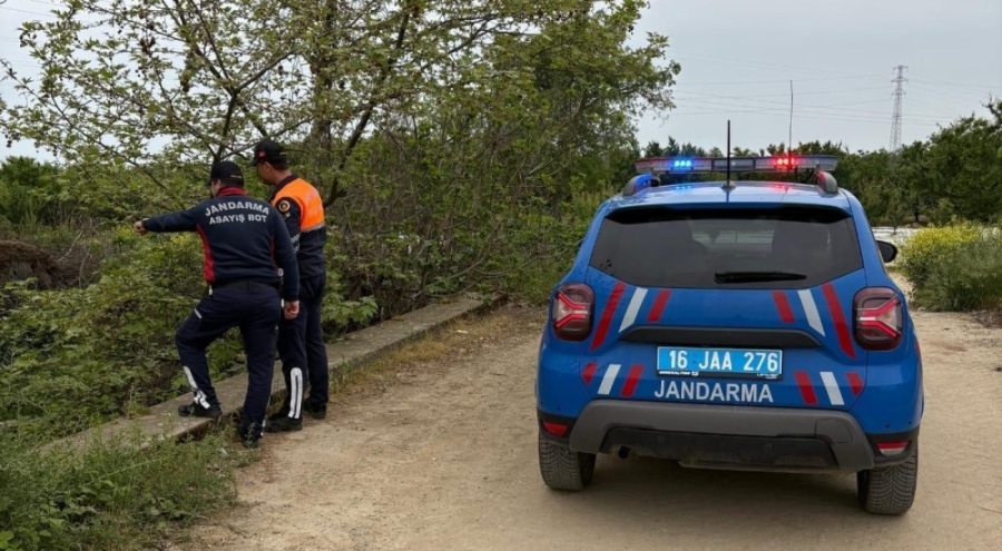 İznik Gölü'nde kaçak avcılığa jandarmadan operasyon