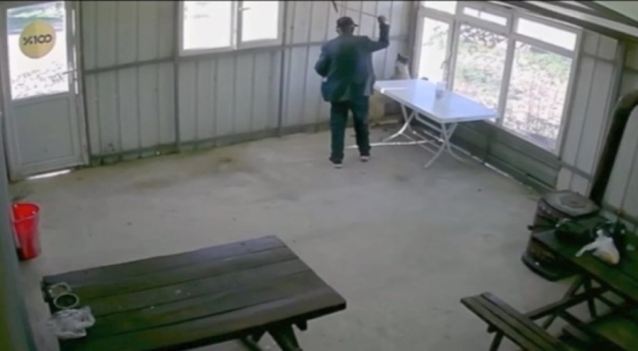 81 yaşındaki şahıs köy kahvesinde bakılan köpeğe dehşeti yaşattı