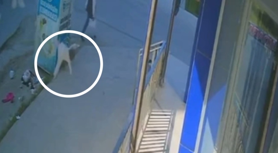5. kattan düşen 1 yaşındaki çocuk hayatını kaybetti
