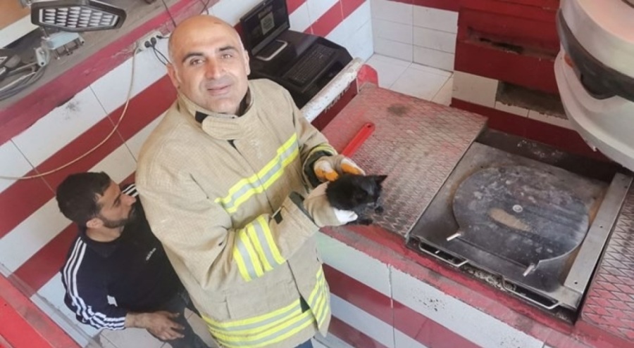 Otomobilin motor bölümüne sıkışan yavru kedi kurtarıldı