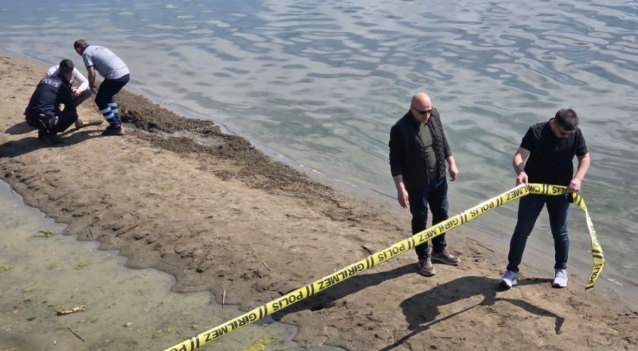İznik Gölü sahilinde top mermisi bulundu!