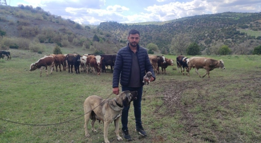 Sosyal medyada linç edilmişti, o köpeğin sahibi konuştu