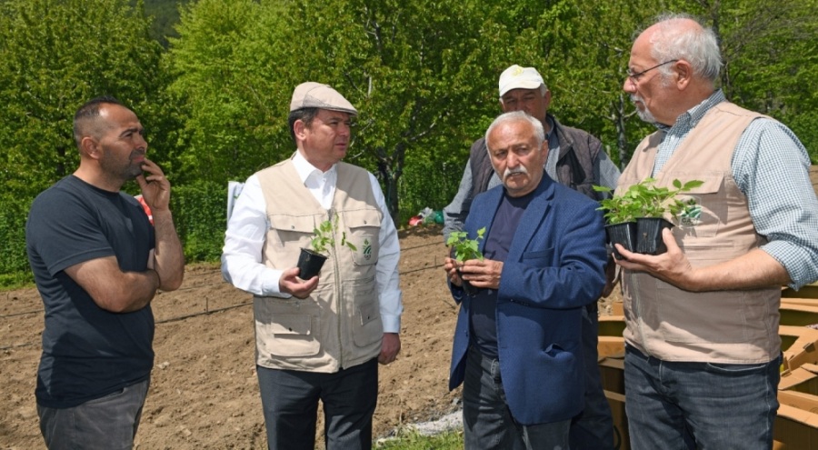 Osmangazi Belediyesi'nden çiftçiye destek! Tarımsal üretimde önemli adım