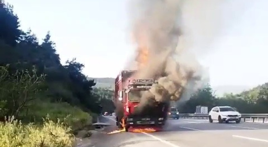 Bursa'da hayvan yüklü kamyon alevlere teslim oldu