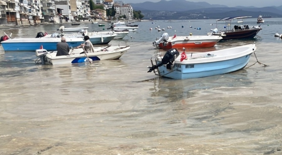 Marmara Denizi'nde Bursa kıyılarına müsilaj yaklaştı!