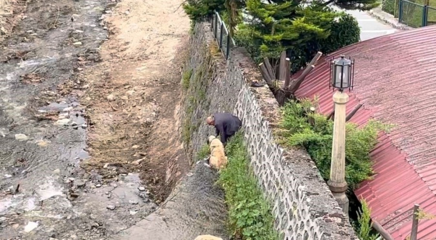Bursa'da derede mahsur kalan köpeklerini sahibi kurtardı