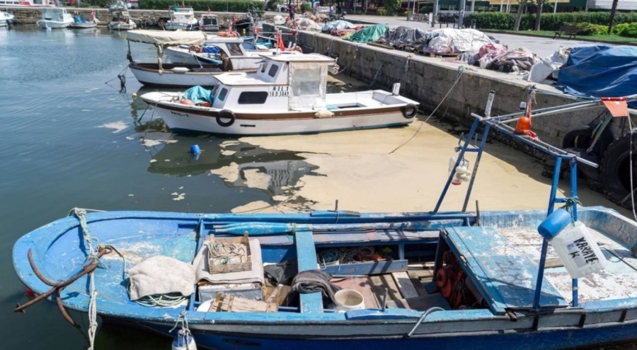 Marmara Denizi'ni yeniden müsilaj kapladı! Gemlik'te kirlilik had safhada...