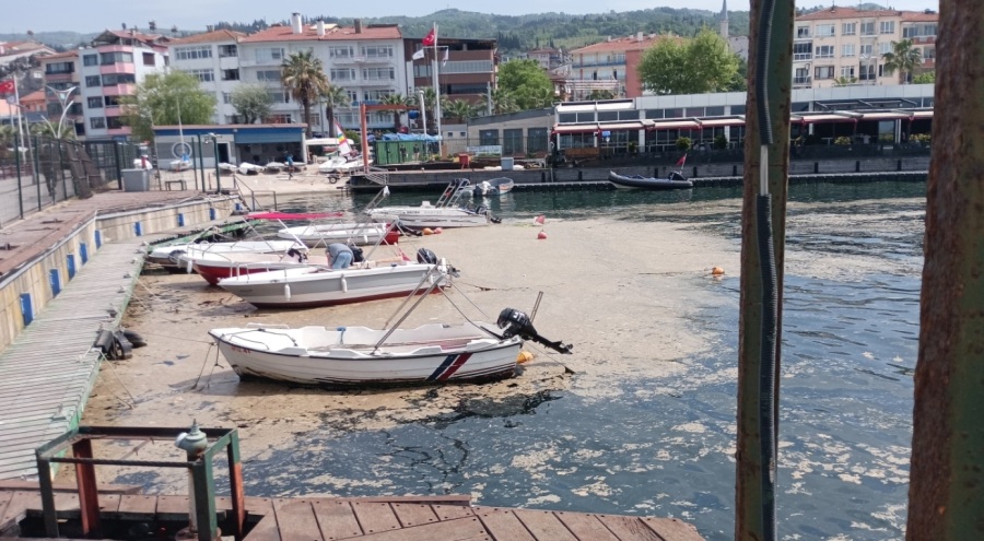 Bursa'da balıkçılara müsilaj darbesi! Kıyılar hasarlı ağlarla dolu
