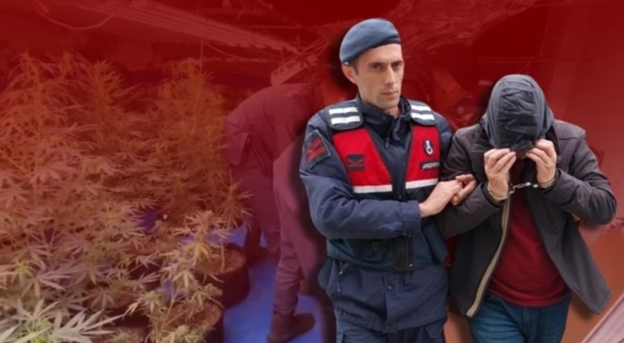 YouTube'dan izleyerek evini uyuşturucu tarlasına çevirdi