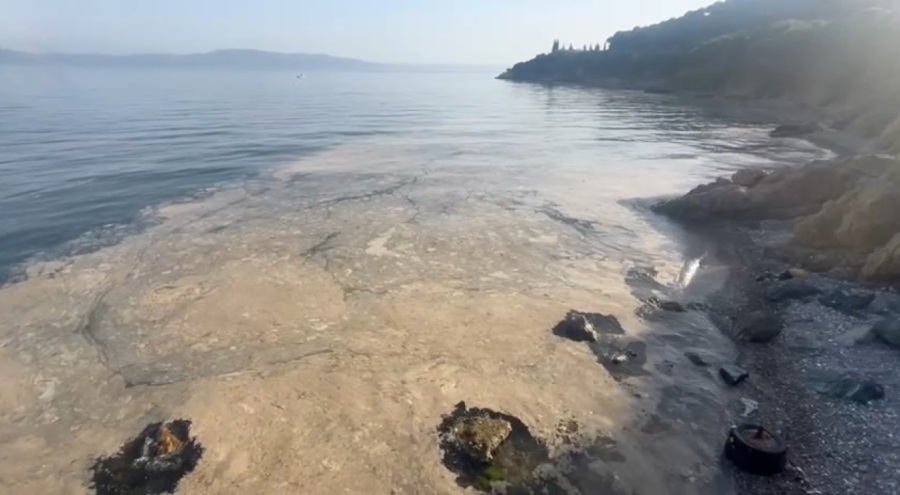 Gemlik'te müsilaj artıyor! Denize girilecek yer kalmadı