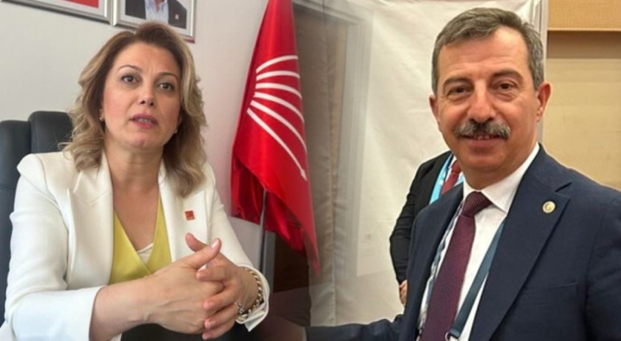 Bursa Milletvekili görevden alınmıştı... CHP'li Asu Kaya konuştu: Umarım gerçek çıkmaz