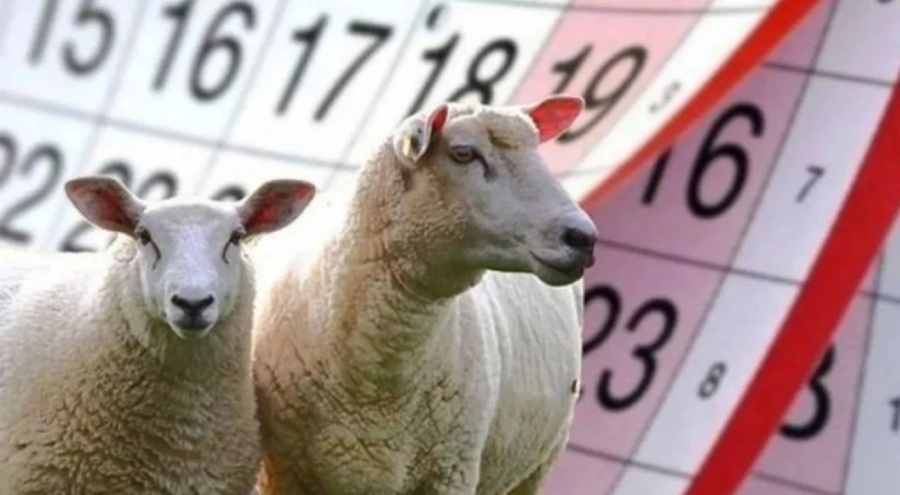 Kurban Bayramı tatili için karar verildi! Kurban Bayramı tatili uzatılacak mı?