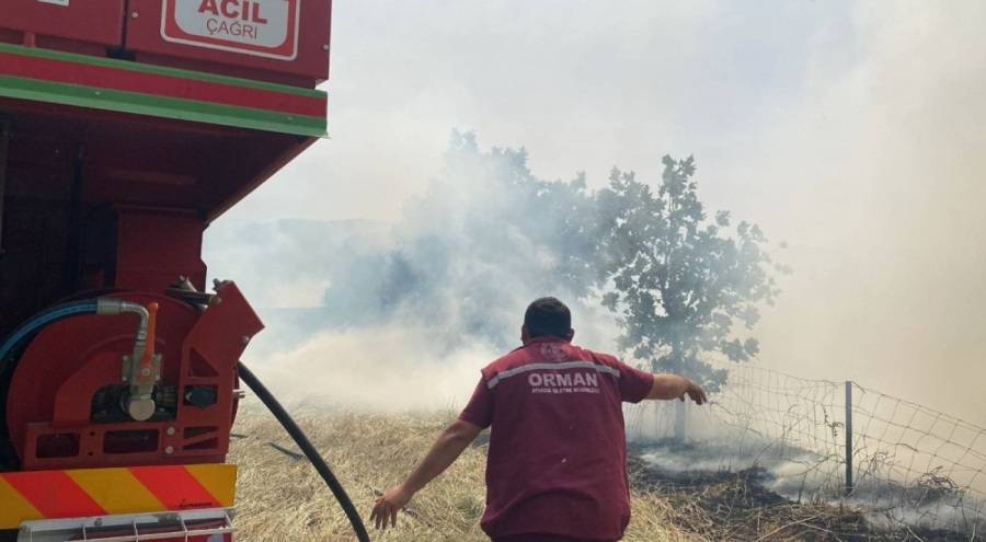 Çanakkale'de orman yangını!
