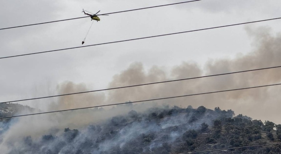Alevler zeytinliği sardı! 2 uçak ve 2 helikopterle müdahale edildi