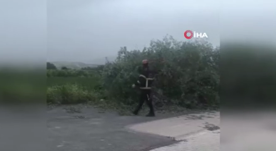 Bursa'da kuvvetli lodosta devrilen ağaçlar araçlara zarar verdi