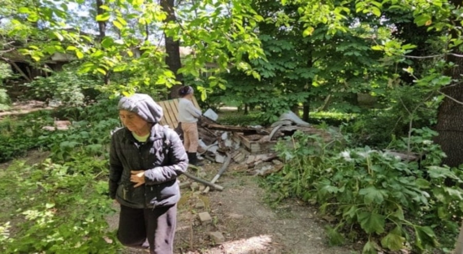 Yavru köpekler su kuyusunda ölü bulundu