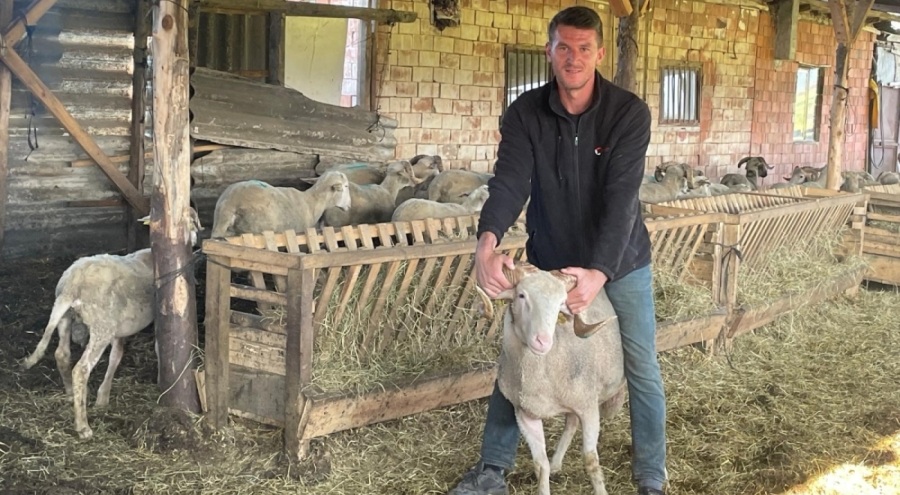 Bursalı besici kurbanlıkları satıp kazancıyla evlenecek
