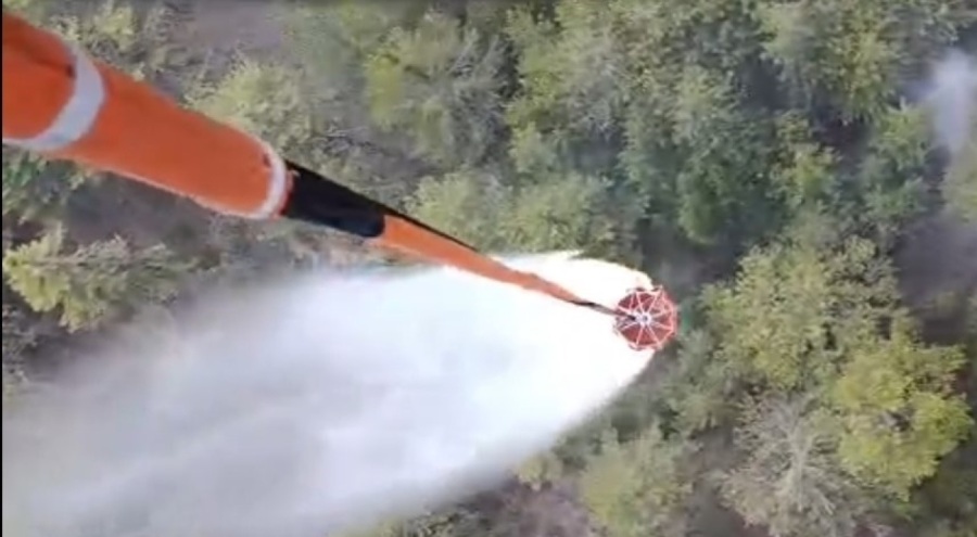 Aydın'daki orman yangını kontrol altına alındı