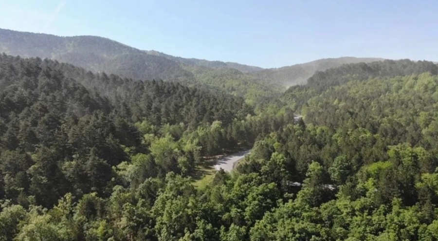 Sinop'ta ormanlara giriş yasaklandı!