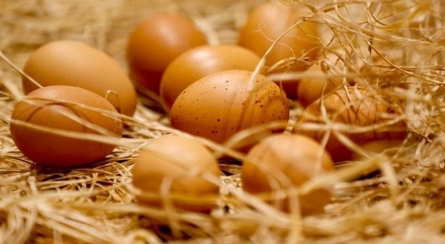 Sofralık yumurta ihracatına yeni düzenleme! İhracat fonu 3 katına çıktı