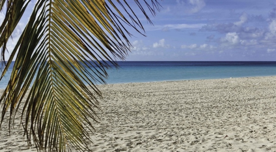 Karayipler'de kıyıya vuran teknede 11 ceset bulundu