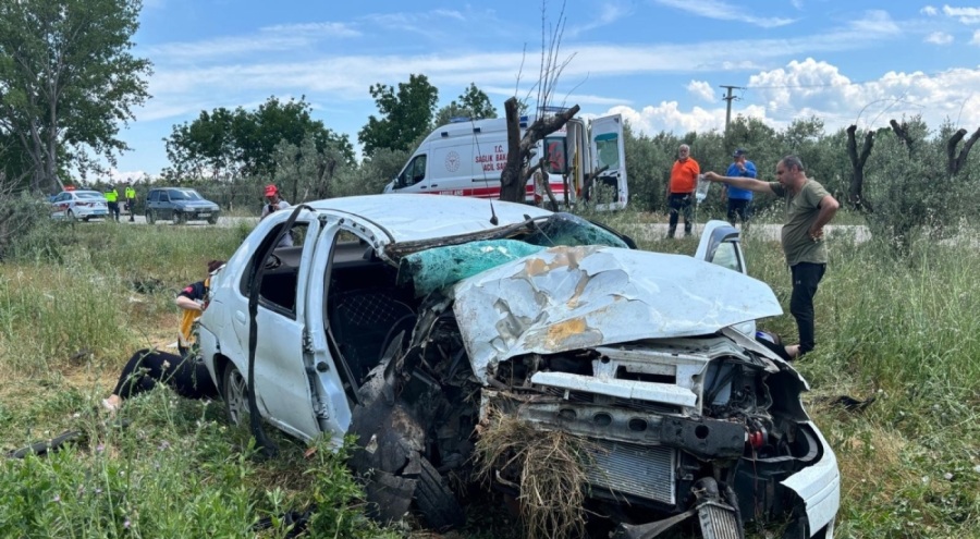 Bursa'da otomobil zeytinliğe uçtu