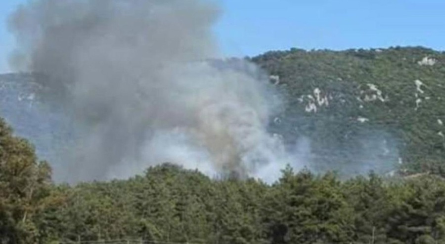 Marmaris'te orman yangını!