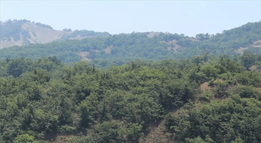 Burdur'da ormanlık alanlara girişler yasaklandı!