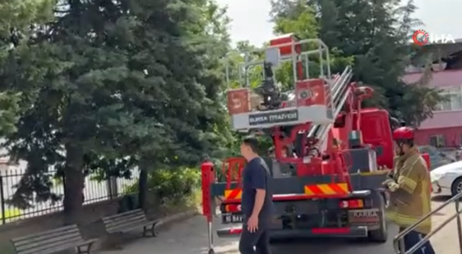 Bursa'da çıktığı ağaçta mahsur kalan kedileri itfaiye kurtardı