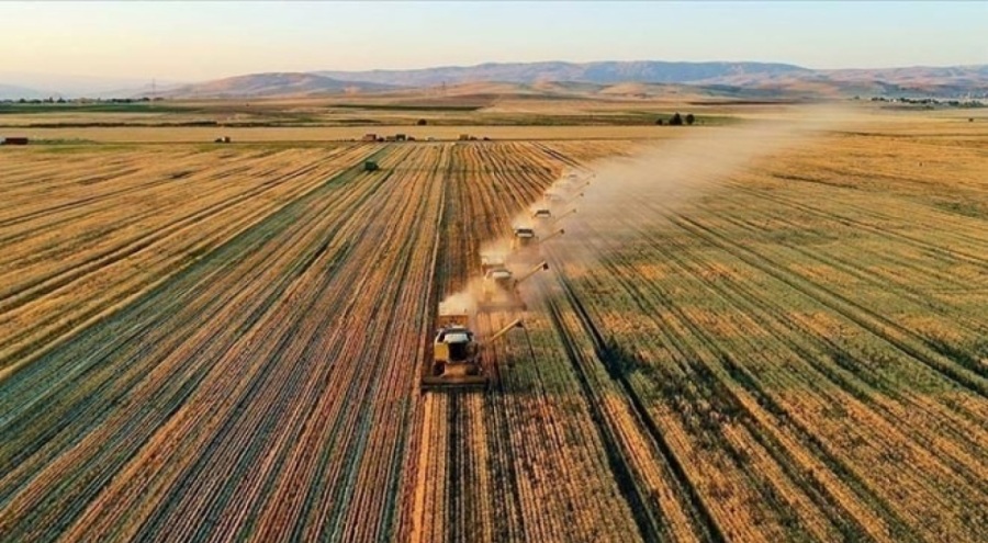 Çiftçilere 251 milyon TL destek ödemesi