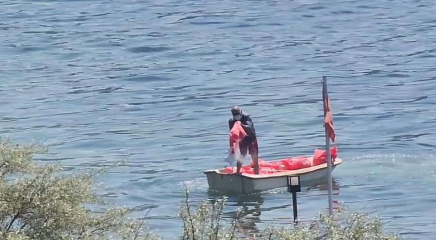 Bursa'da deniz çayırlarına kireç döküldüğü iddiası!