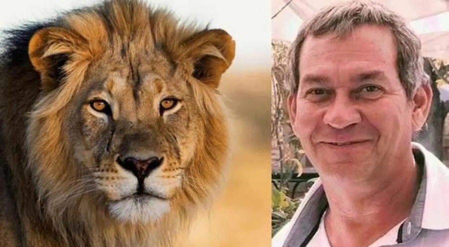 Alman iş insanı aslan saldırısında hayatını kaybetti