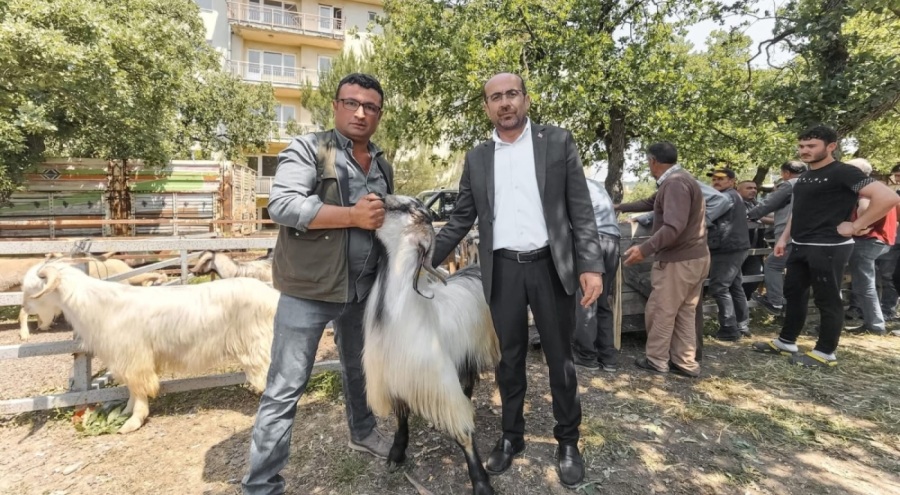 Bursa'da Bayram öncesi hayvan pazarında inceleme yapıldı