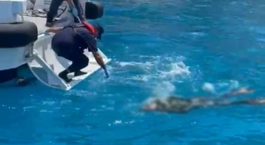 Zıpkınla balık avlamak için daldı, cesedi bulundu