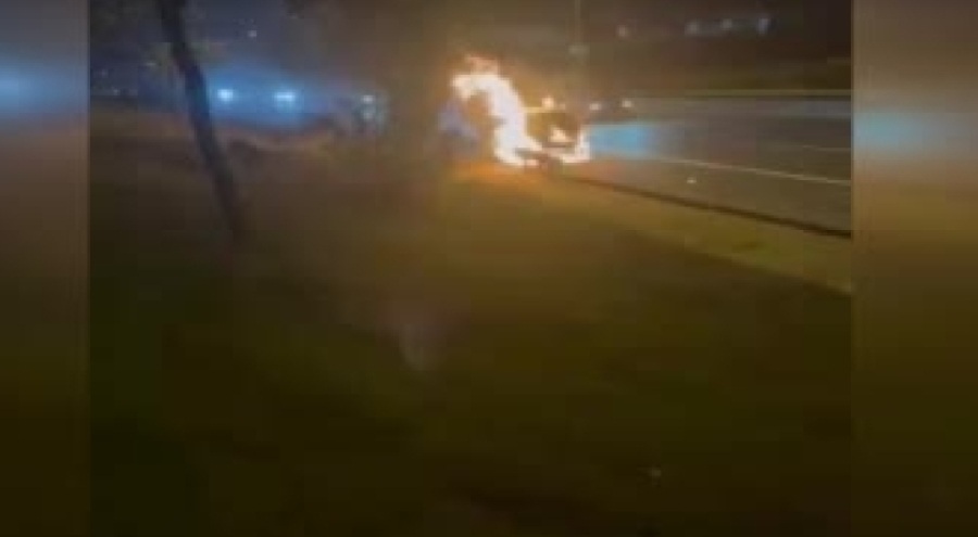 TEM Otoyolu'nda kamyonet cayır cayır yandı