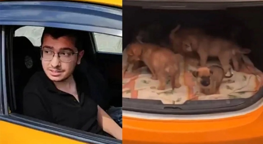 Ankara'da yavru köpeklere cinsel istismarda bulunup öldüren doktora istenen ceza belli oldu