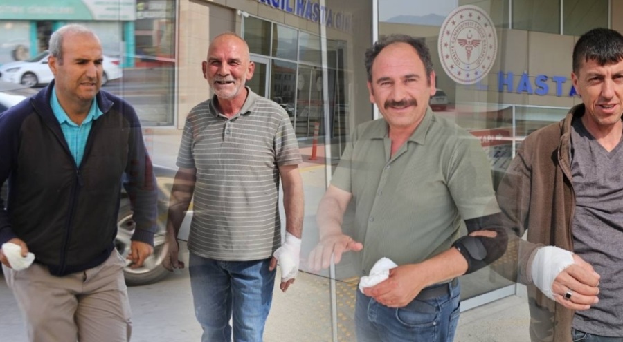 "Acemi kasap" bilançosu açıklandı
