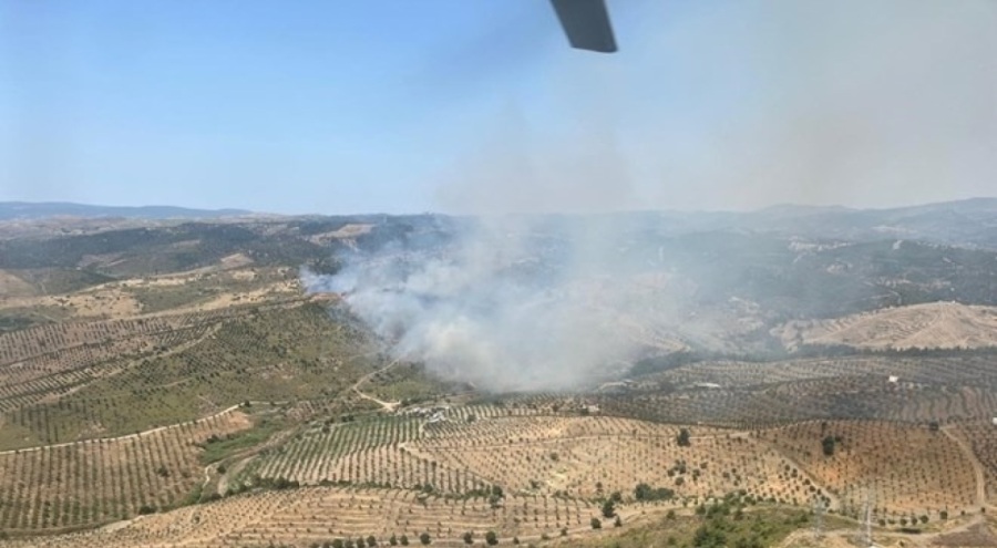 İzmir'de ormanlık alanda yangın!