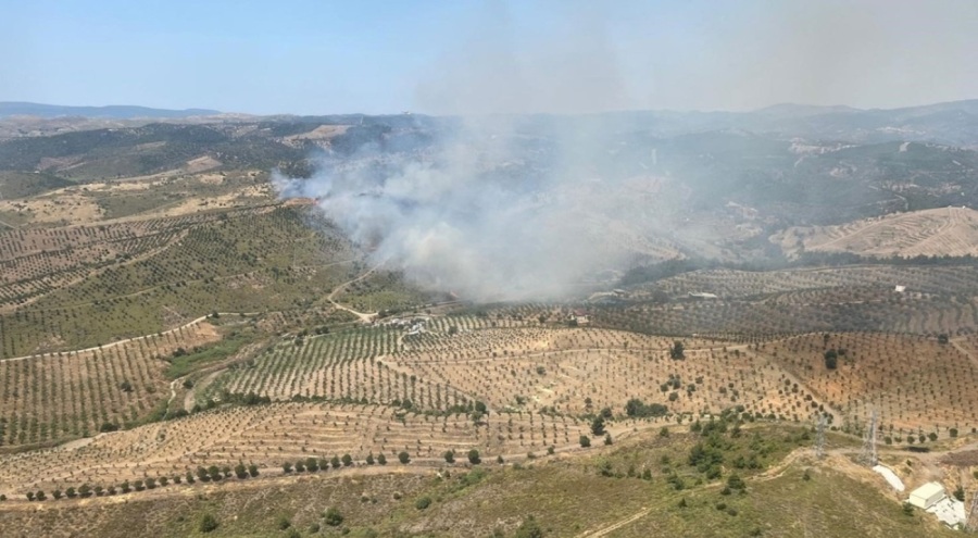 İzmir'de orman yangını